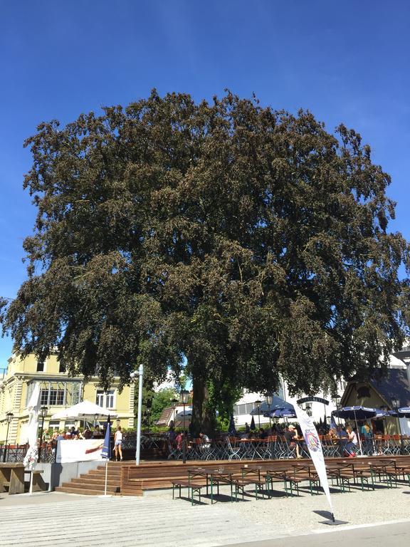 Rhein Melodie Riverview Luxury Konstanz Rum bild